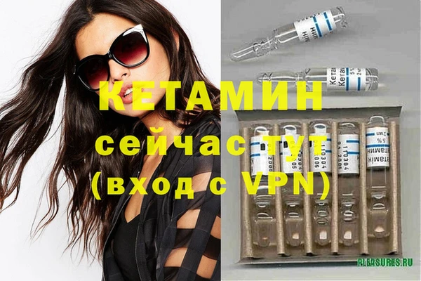дживик Ельня
