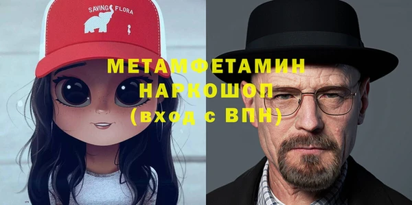 дживик Ельня