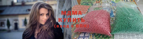 дживик Ельня