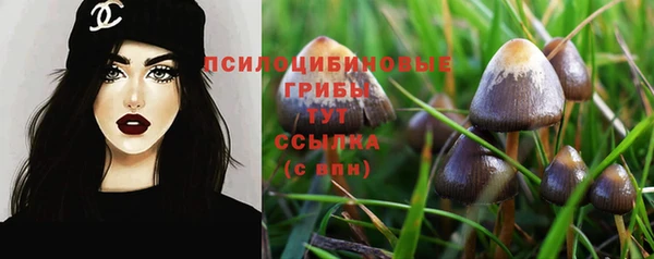 дживик Ельня