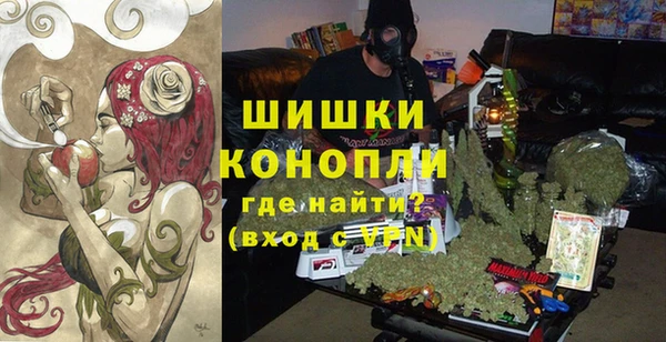 дживик Ельня