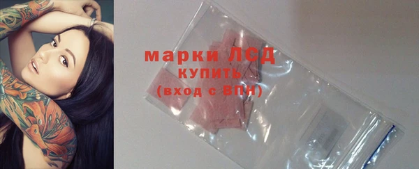 дживик Ельня