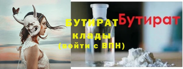 дживик Ельня