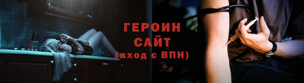 дживик Ельня