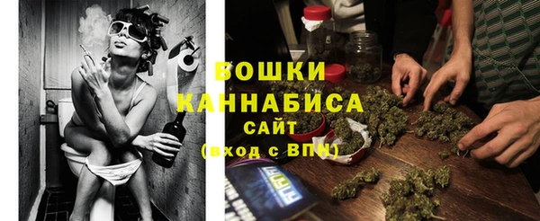 дживик Ельня