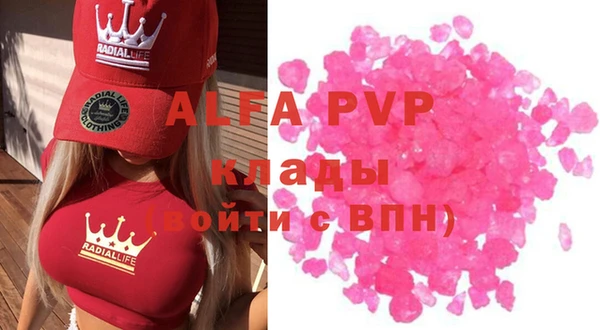 дживик Ельня