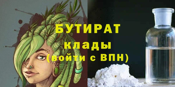 дживик Ельня