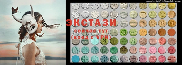 дживик Ельня