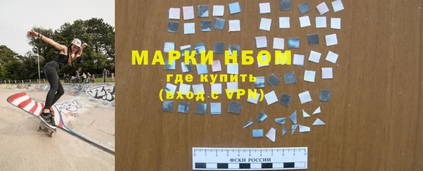 дживик Ельня