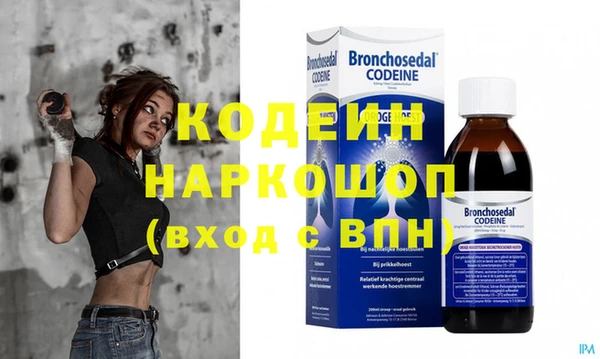 дживик Ельня
