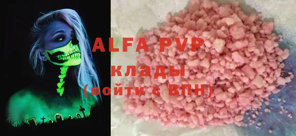дживик Ельня