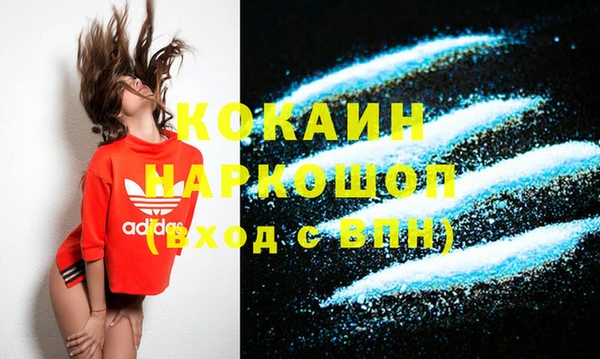 дживик Ельня