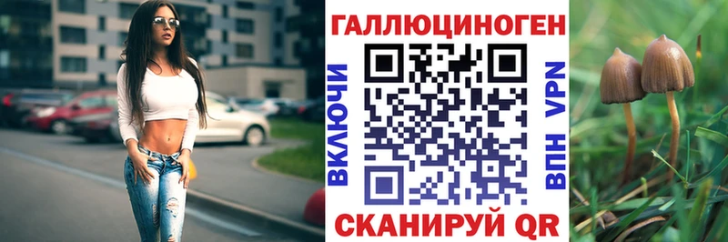 Галлюциногенные грибы мицелий  Купить  Харабали 